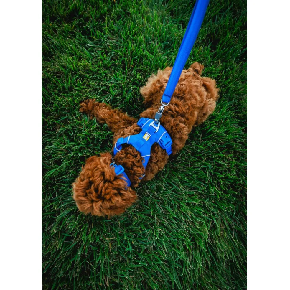 Ruffwear Front Range Dog Collar