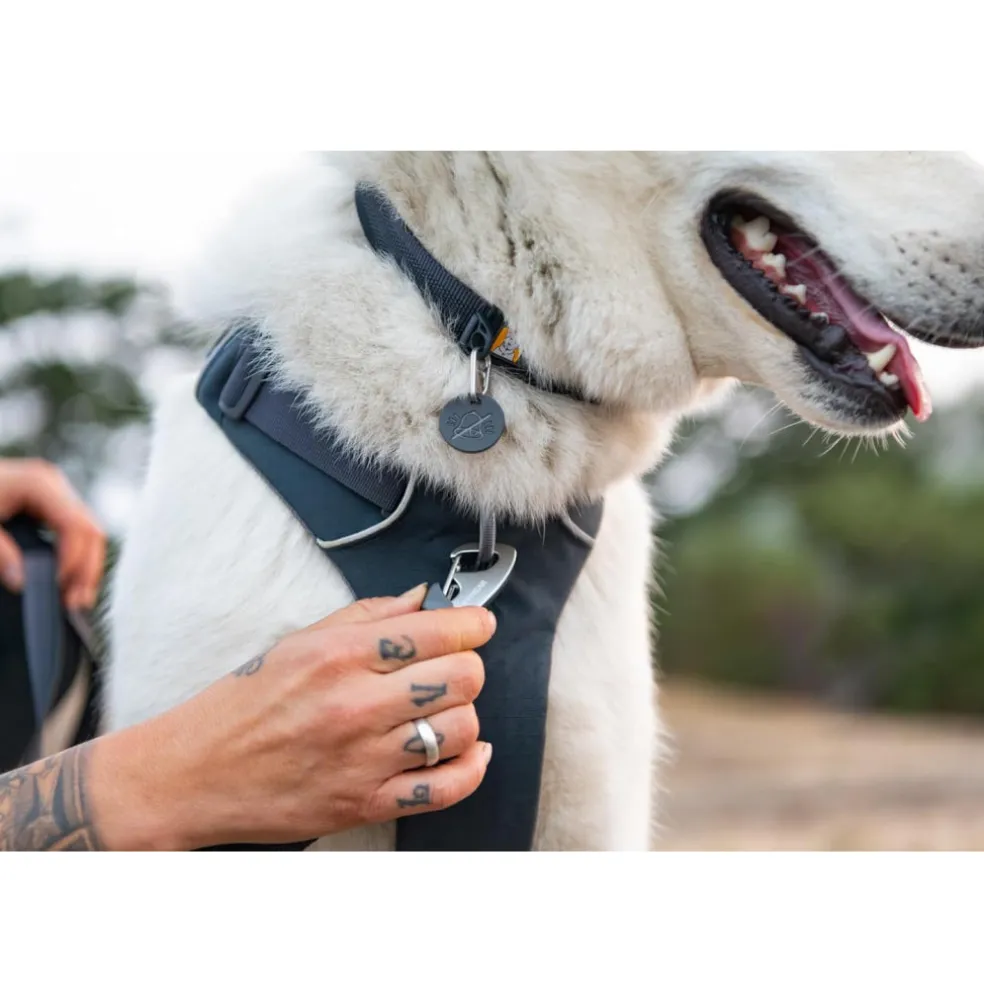 Ruffwear Front Range Dog Collar