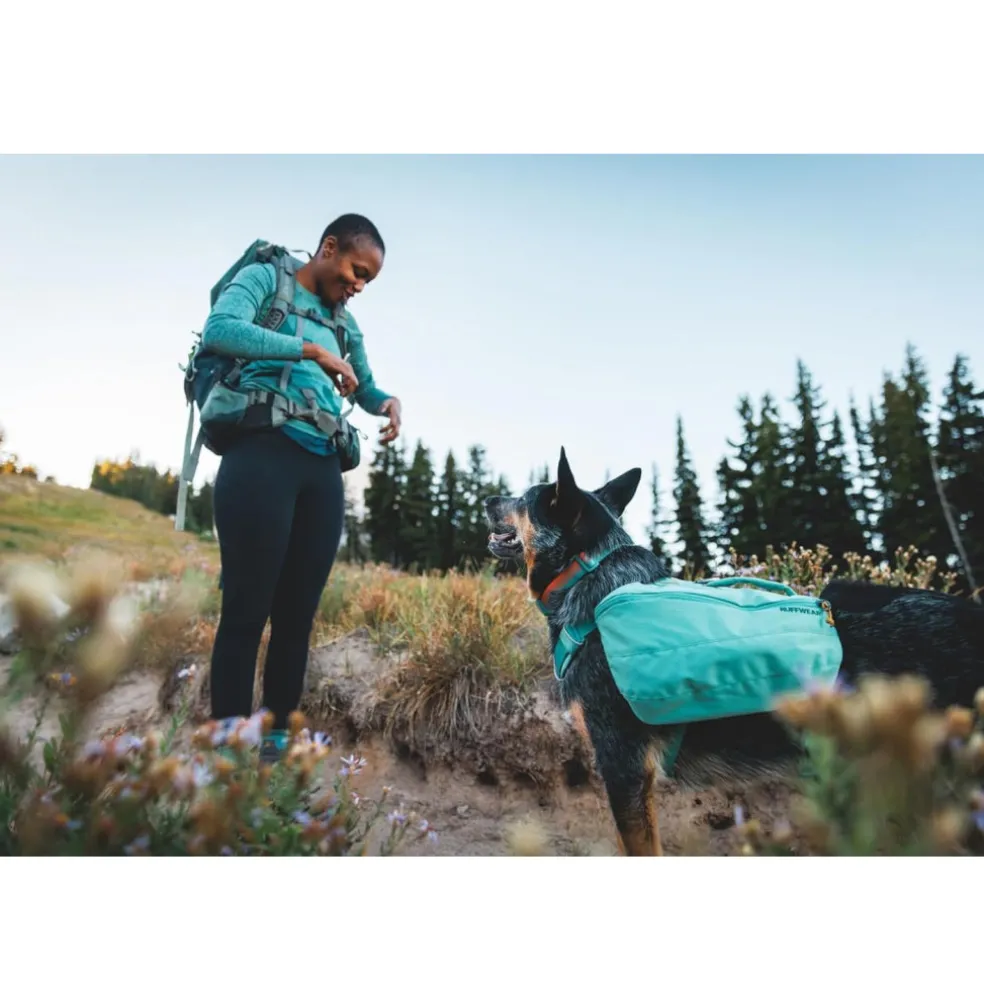 Ruffwear Front Range Dog Collar