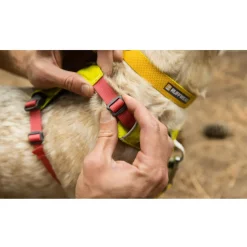 Ruffwear Hi & Light Dog Harness