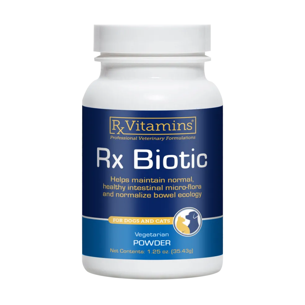 Rx Biotic Powder Digestive Supplement for Cats & Dogs