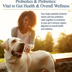 Rx Biotic Powder Digestive Supplement for Cats & Dogs