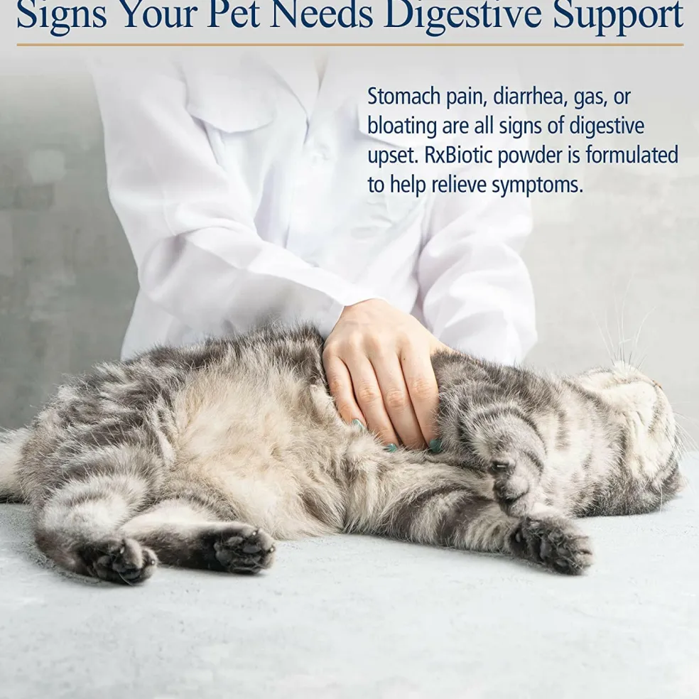 Rx Biotic Powder Digestive Supplement for Cats & Dogs