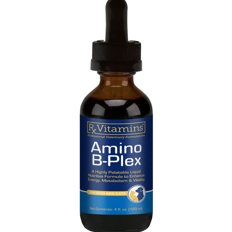 Rx Vitamins Amino B Plex, B Vitamin Complex Plus Amino Acids