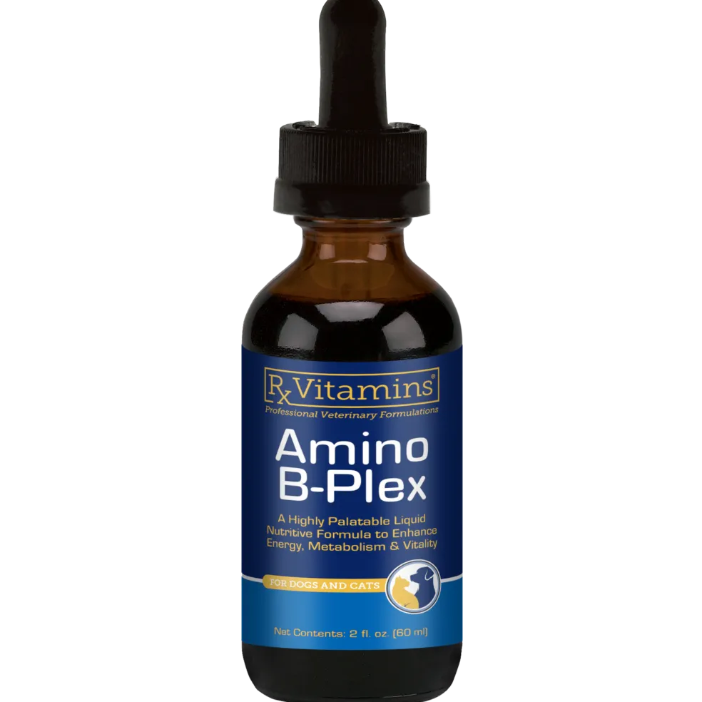 Rx Vitamins Amino B Plex, B Vitamin Complex Plus Amino Acids