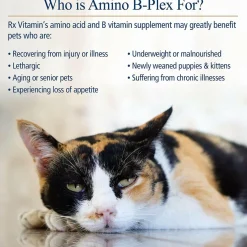 Rx Vitamins Amino B Plex, B Vitamin Complex Plus Amino Acids
