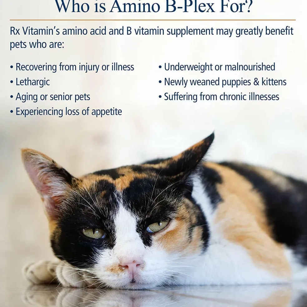 Rx Vitamins Amino B Plex, B Vitamin Complex Plus Amino Acids