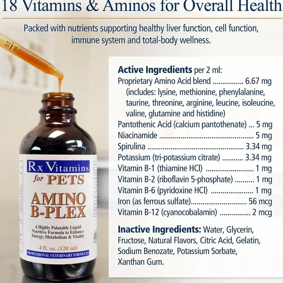 Rx Vitamins Amino B Plex, B Vitamin Complex Plus Amino Acids