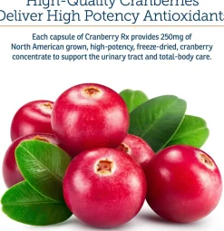 Rx Vitamins Cranberry Rx For Dogs and Cats (90 caps)