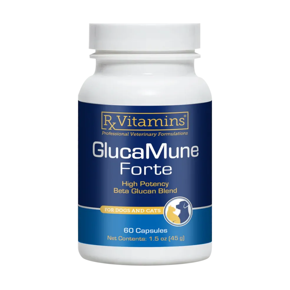 Rx Vitamins GlucaMune Forte for Dogs & Cats, 60 capsules