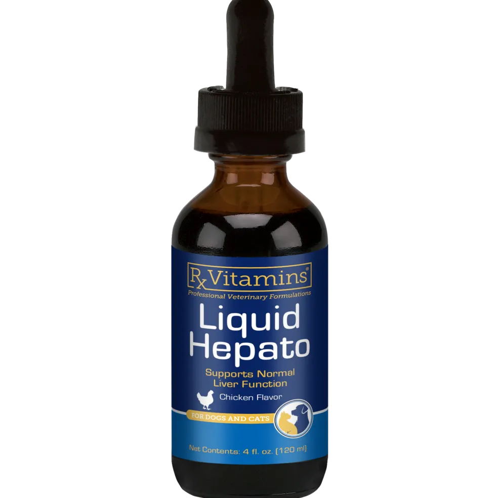 Rx Vitamins Hepato Liquid Liver Supplement for Dogs & Cat -Chicken Flavor (4 oz)