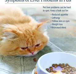 Rx Vitamins Hepato Support Liver Supplement