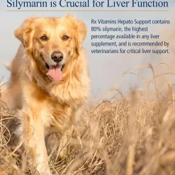 Rx Vitamins Hepato Support Liver Supplement