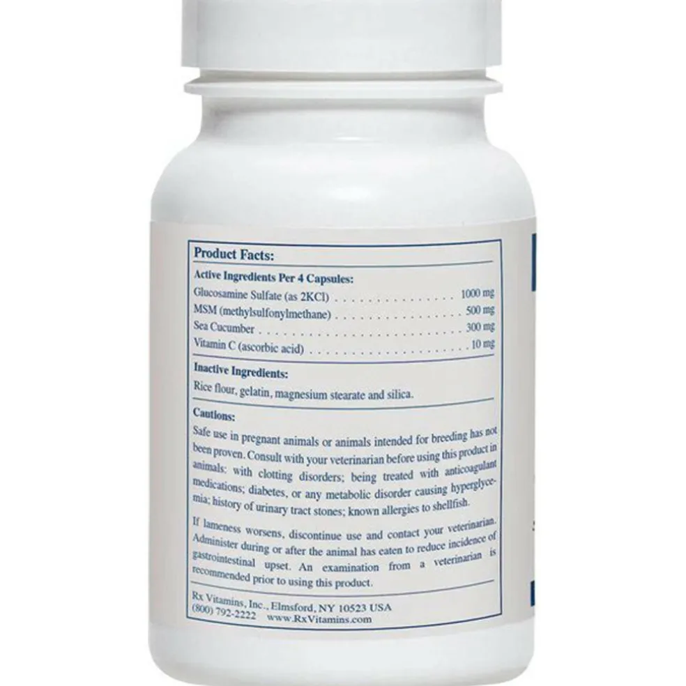 Rx Vitamins MegaFlex Joint Support for Dogs & Cats (600 capsules)