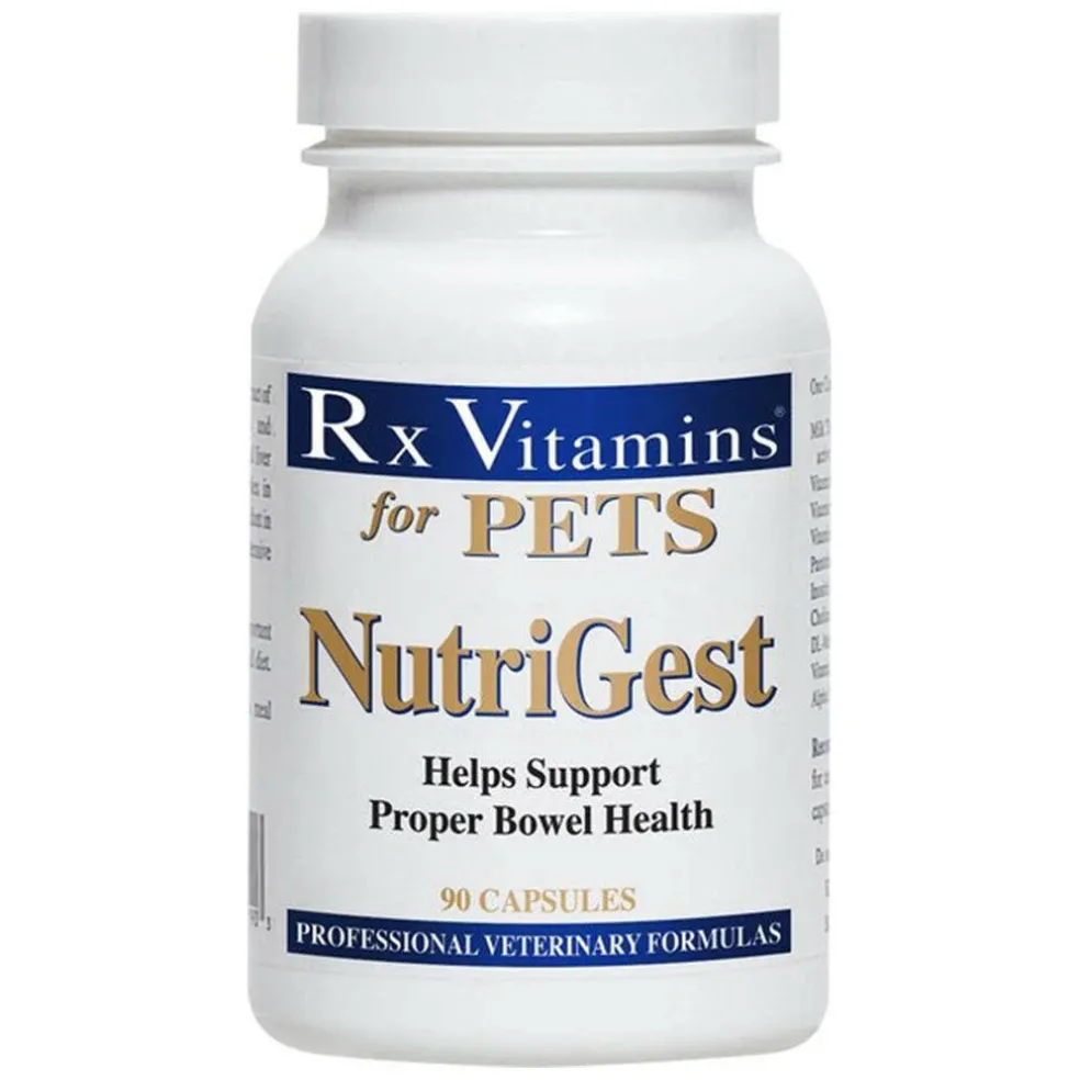Rx Vitamins NutriGest Digestive Support for Dogs & Cats (90 capsules)