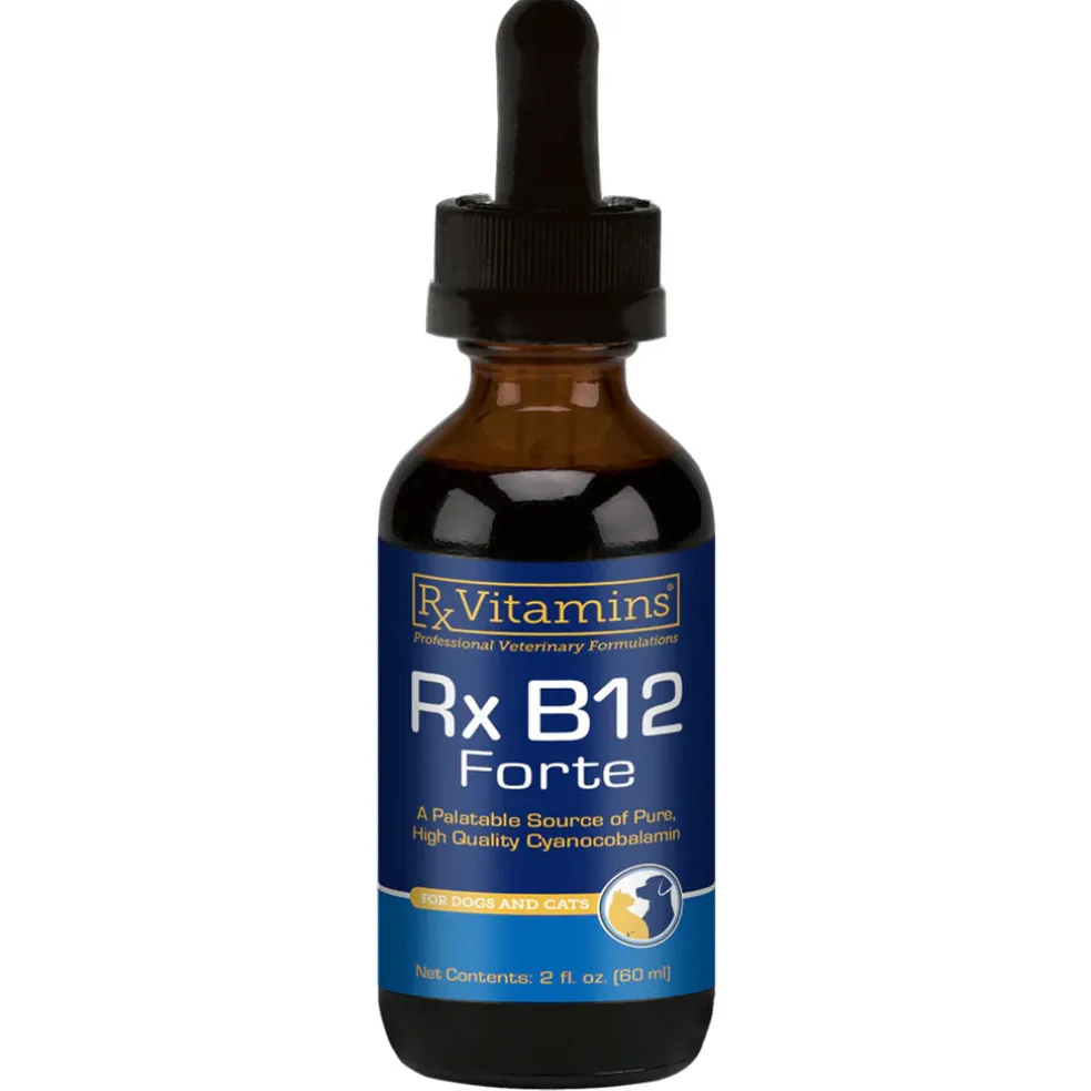 Rx Vitamins Rx B12 Forte for Dogs & Cats, 60-ml