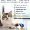Rx Vitamins Rx B12 Liquid Digestive Supplement For Dogs and Cats (4 oz)