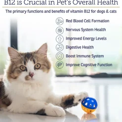 Rx Vitamins Rx B12 Liquid Digestive Supplement For Dogs and Cats (4 oz)