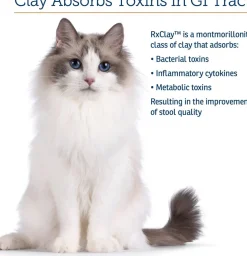 Rx Vitamins Rx Clay Powder Digestive Supplement for Dogs & Cats (100g)