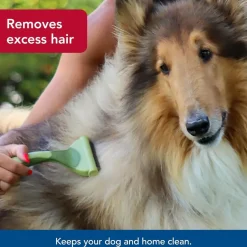 Safari by Coastal Shed Magic De-Shedding Tool for Dogs with Medium to Long Hair