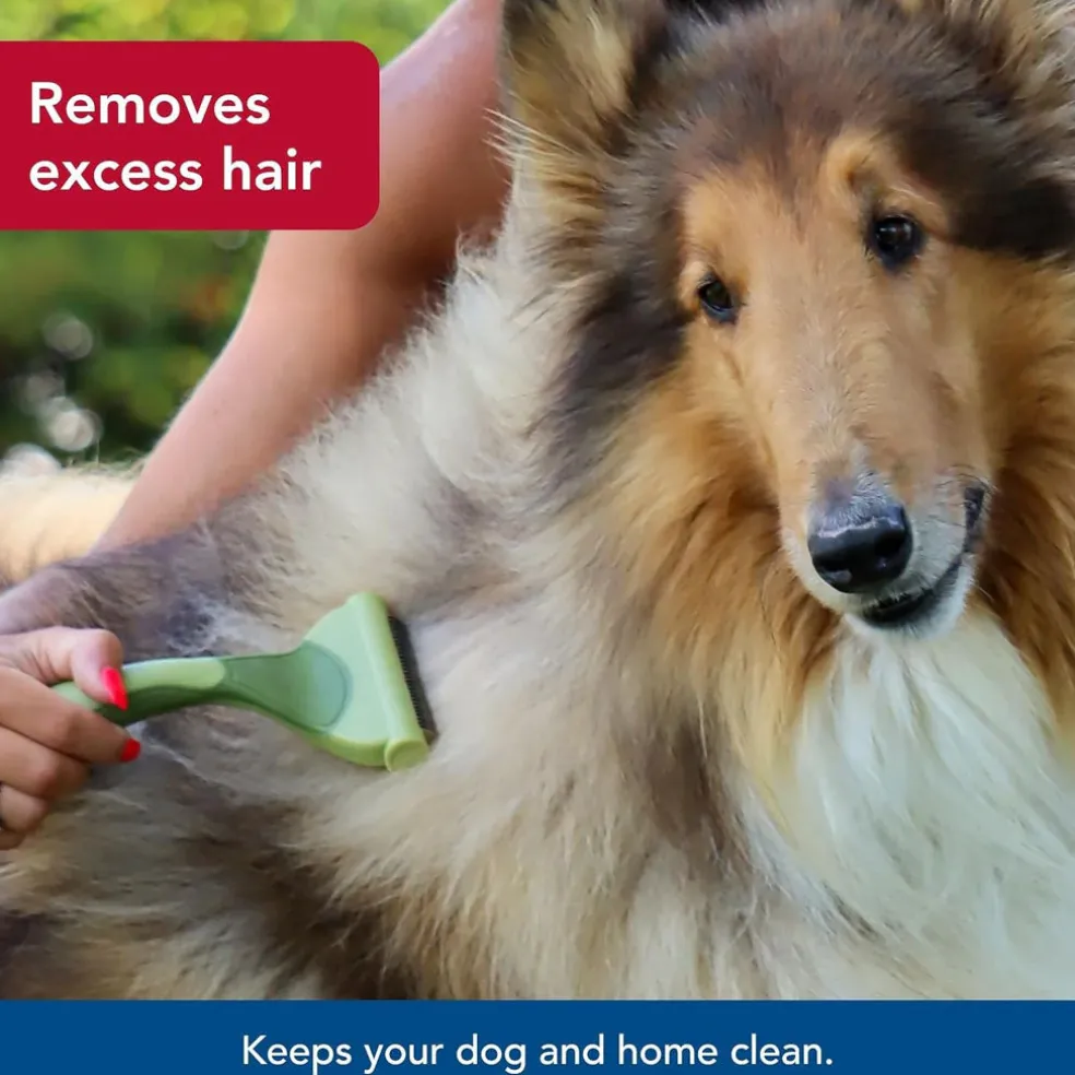 Safari by Coastal Shed Magic De-Shedding Tool for Dogs with Medium to Long Hair
