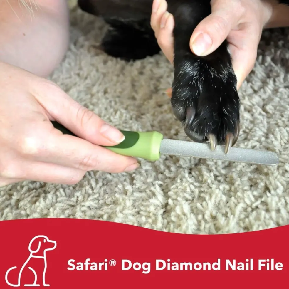Safari Diamond Nail File for Dogs