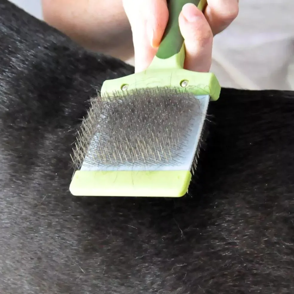 Safari Flexible Slicker Brush for Dogs