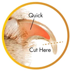Safari Guillotine Nail Trimmer for Dogs