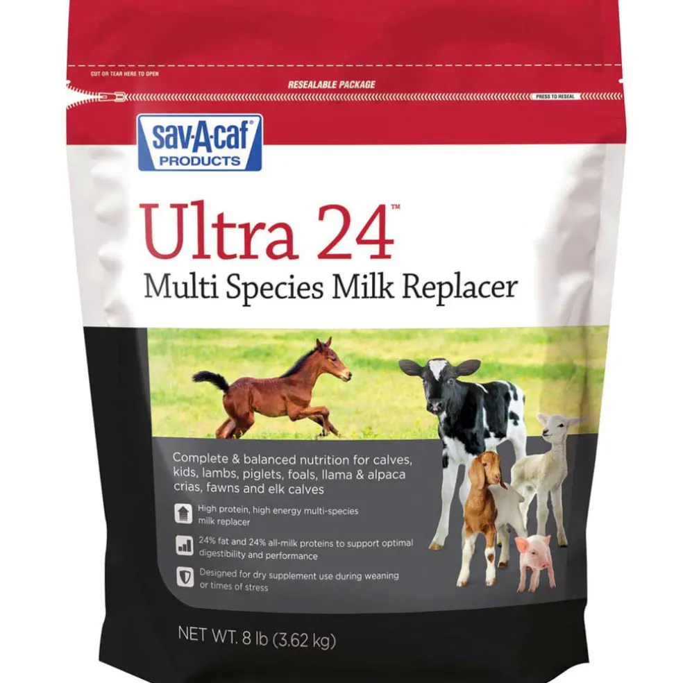 Sav-A-caf Ultra 24 Multi Species Milk Replacer, 8-lb