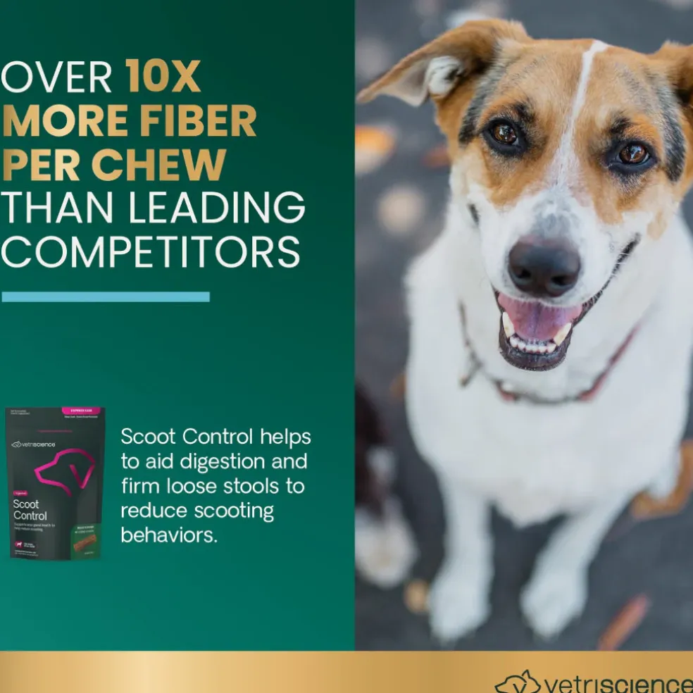 Scoot Control Sticks for Dogs