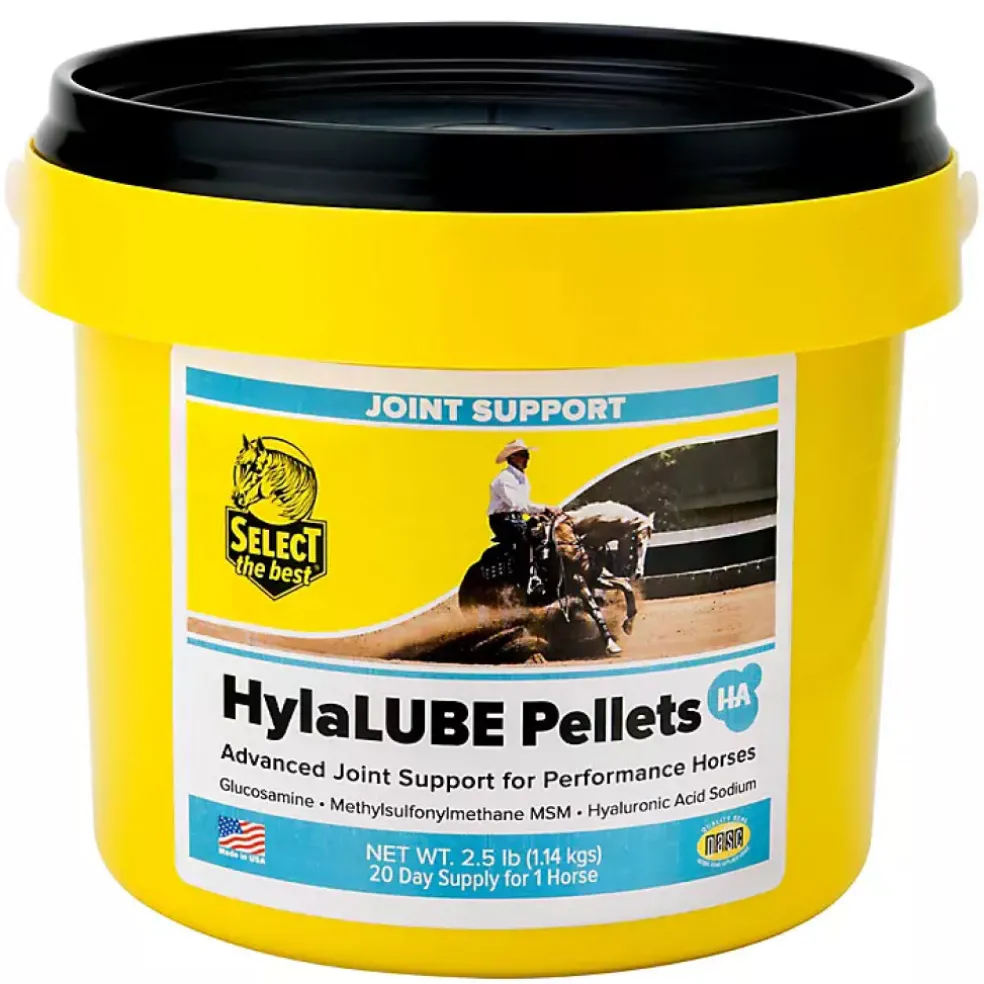Select The Best HylaLUBE Advanced Joint Support for Horses
