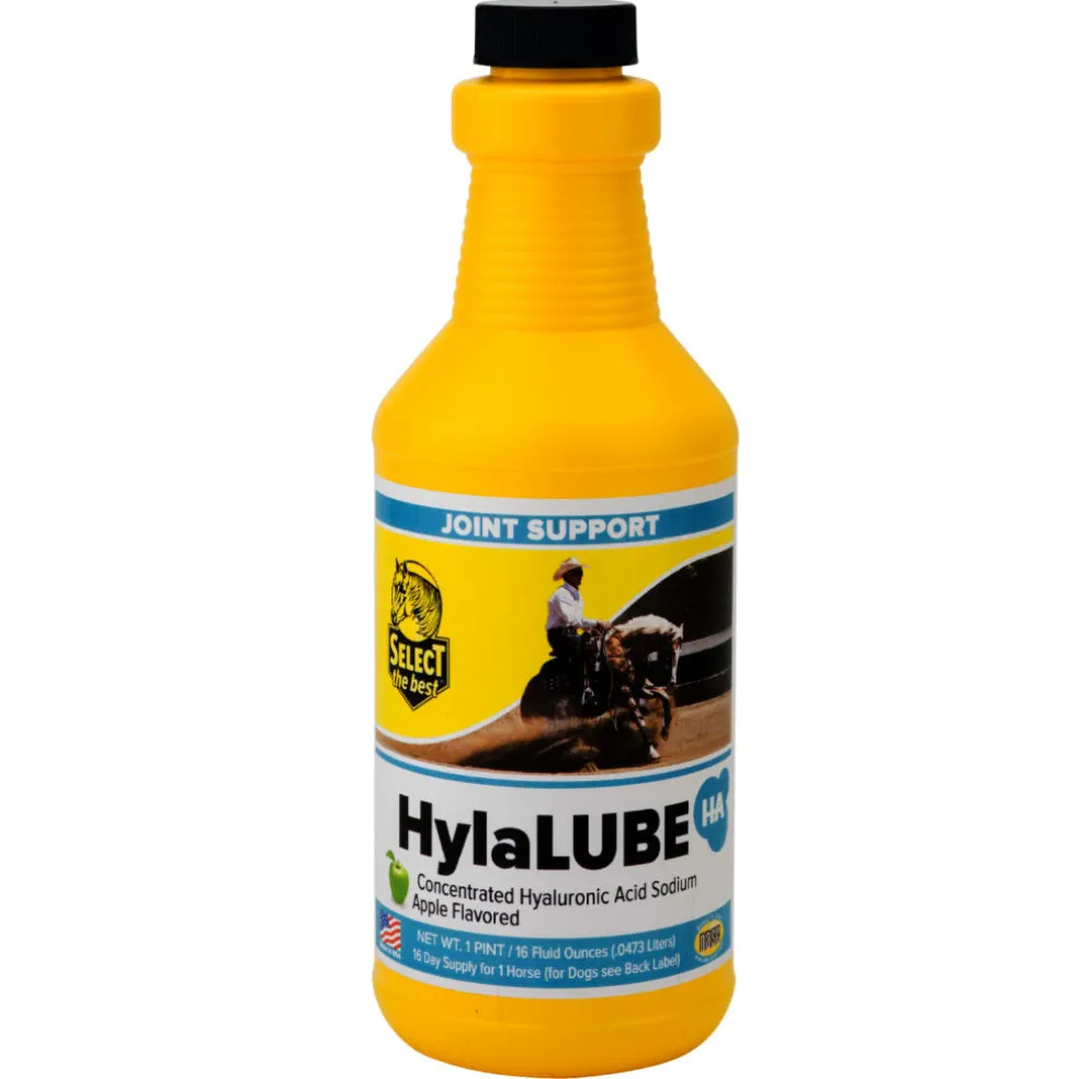 Select The Best HylaLUBE Concentrated Hyaluronic Acid Joint Supplement for Horses