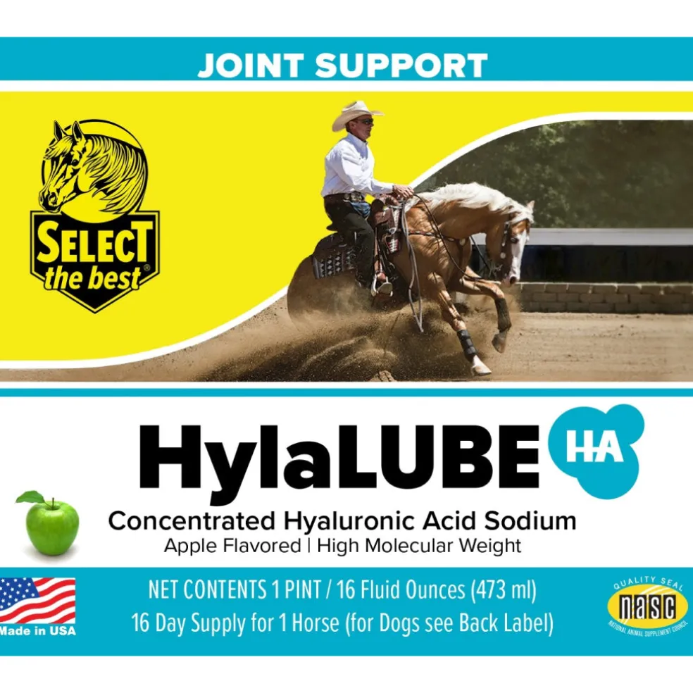 Select The Best HylaLUBE Concentrated Hyaluronic Acid Joint Supplement for Horses