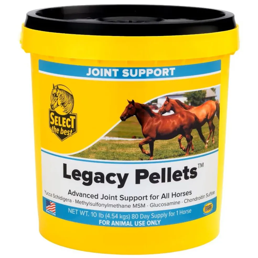 Select The Best Legacy Pellets Joint Support for Horses