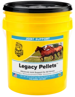 Select The Best Legacy Pellets Joint Support for Horses