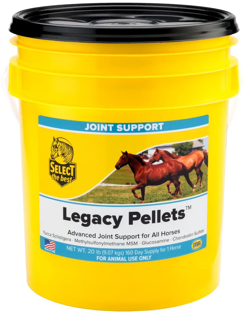 Select The Best Legacy Pellets Joint Support for Horses