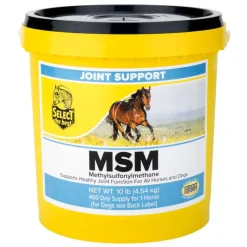 Select the Best MSM Joint Support for Horses