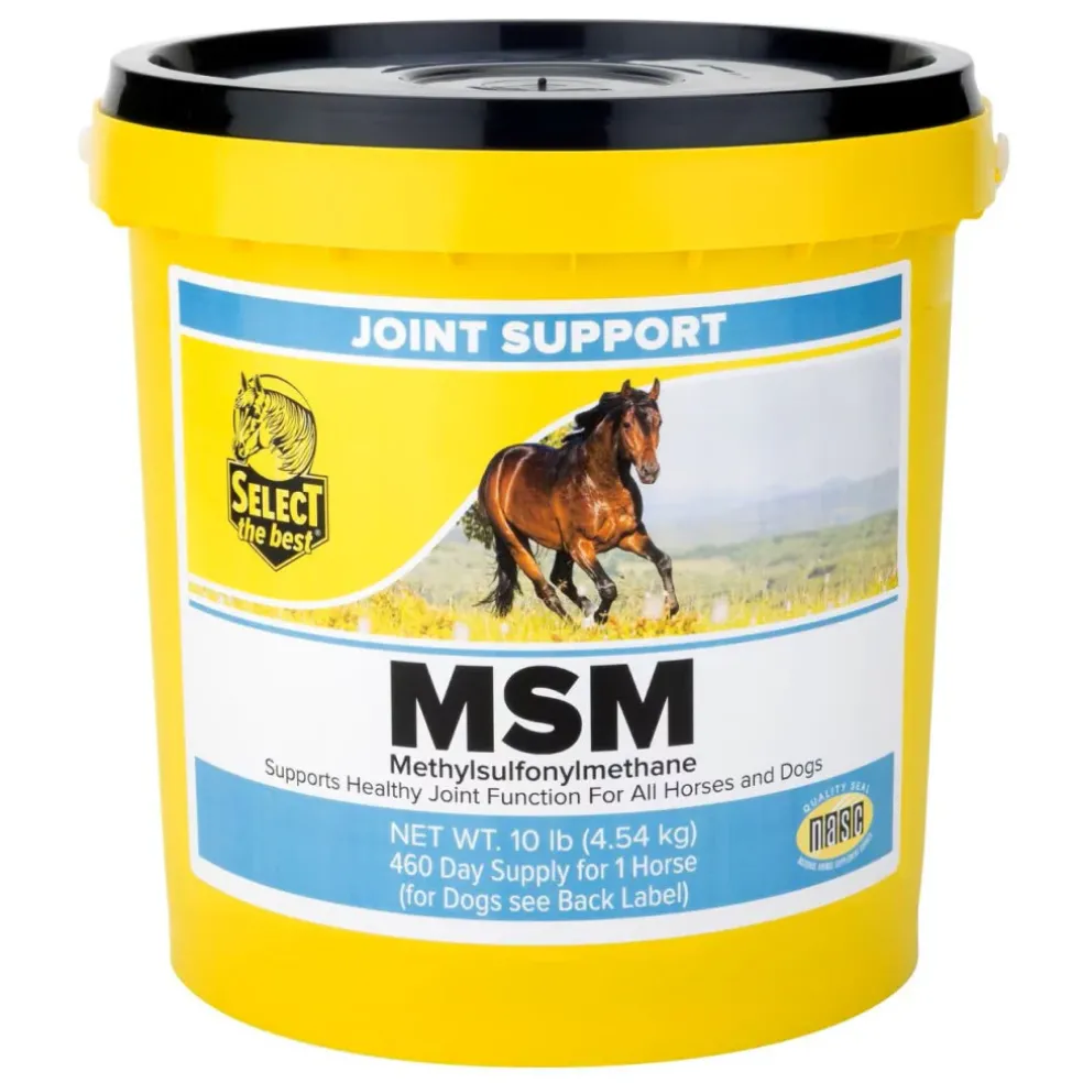 Select the Best MSM Joint Support for Horses
