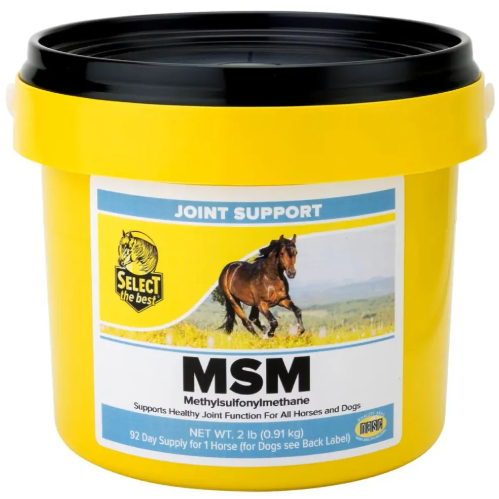 Select the Best MSM Joint Support for Horses