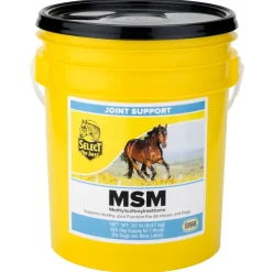 Select the Best MSM Joint Support for Horses