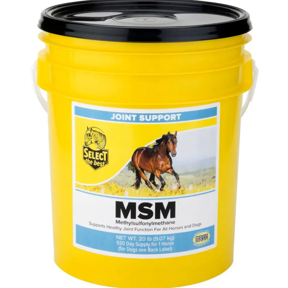 Select the Best MSM Joint Support for Horses