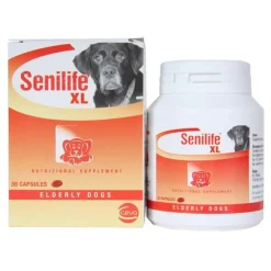Senilife XL for Elderly Dogs