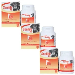 Senilife XL for Elderly Dogs