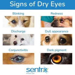 Sentrx Eye Lube Pro for Pets, 20-gm