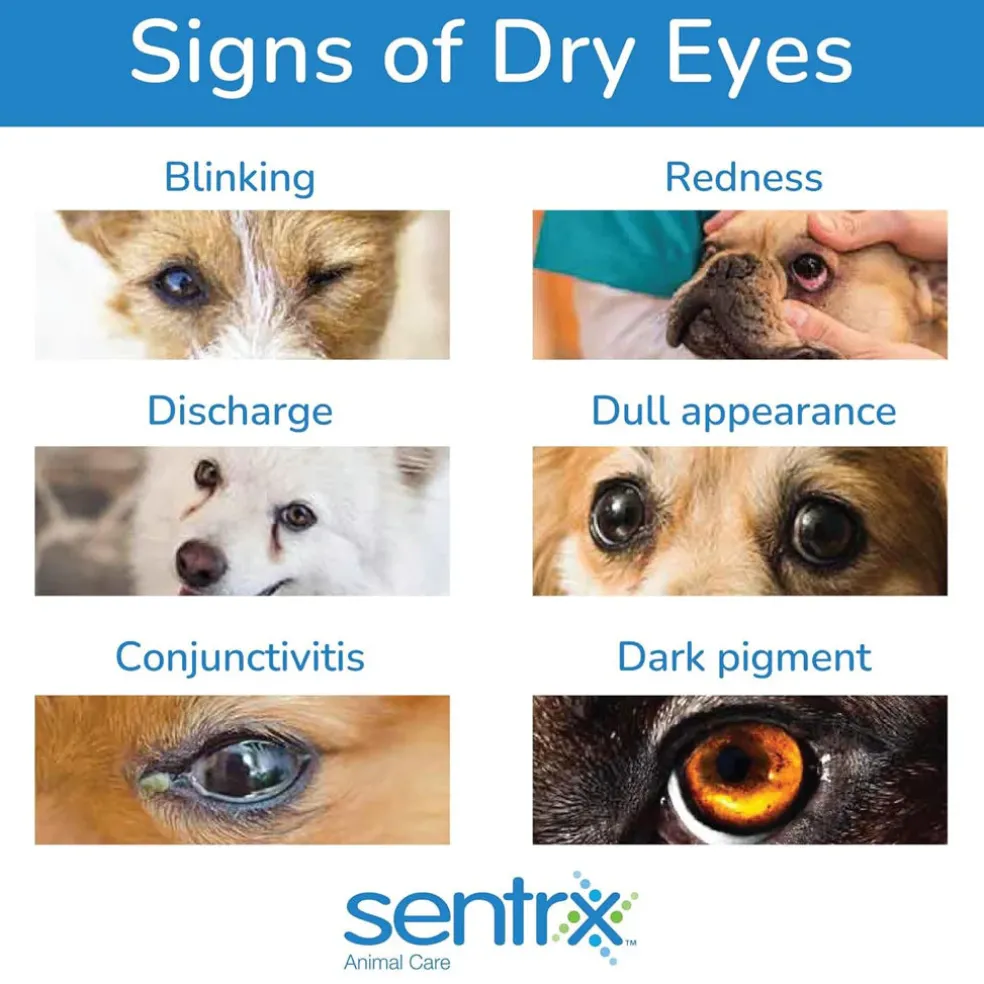 Sentrx Eye Lube Pro for Pets, 20-gm