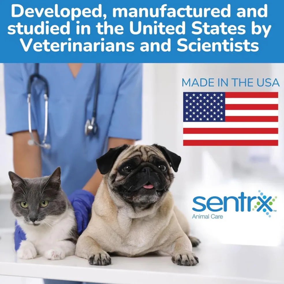 Sentrx Eye Lube Pro for Pets, 20-gm