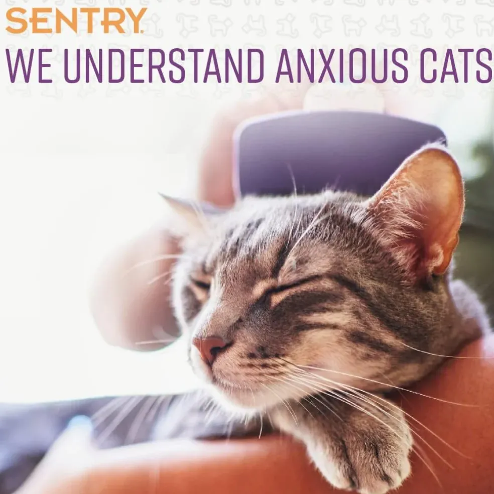 Sentry Calming Chews for Cats (4 oz)