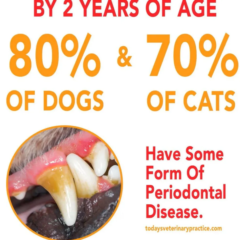 Sentry Petrodex Advanced Enzymatic Poultry Flavored Toothpaste for Dogs
