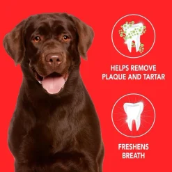 Sentry Petrodex Advanced Peanut Butter Flavored Toothpaste for Dogs (2.5 oz)