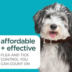Sergeant’s Guardian Pro Flea & Tick Collar for Dogs, Fresh Scent, 1 Collar
